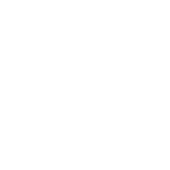 Final Design & Detailed Proposal